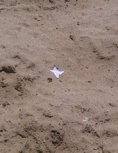 sandpile, from a distance