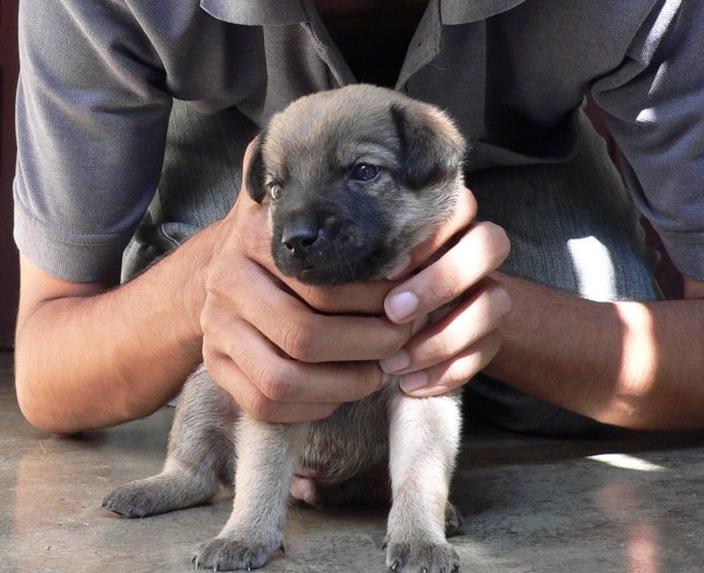 so, this is what the world looks like