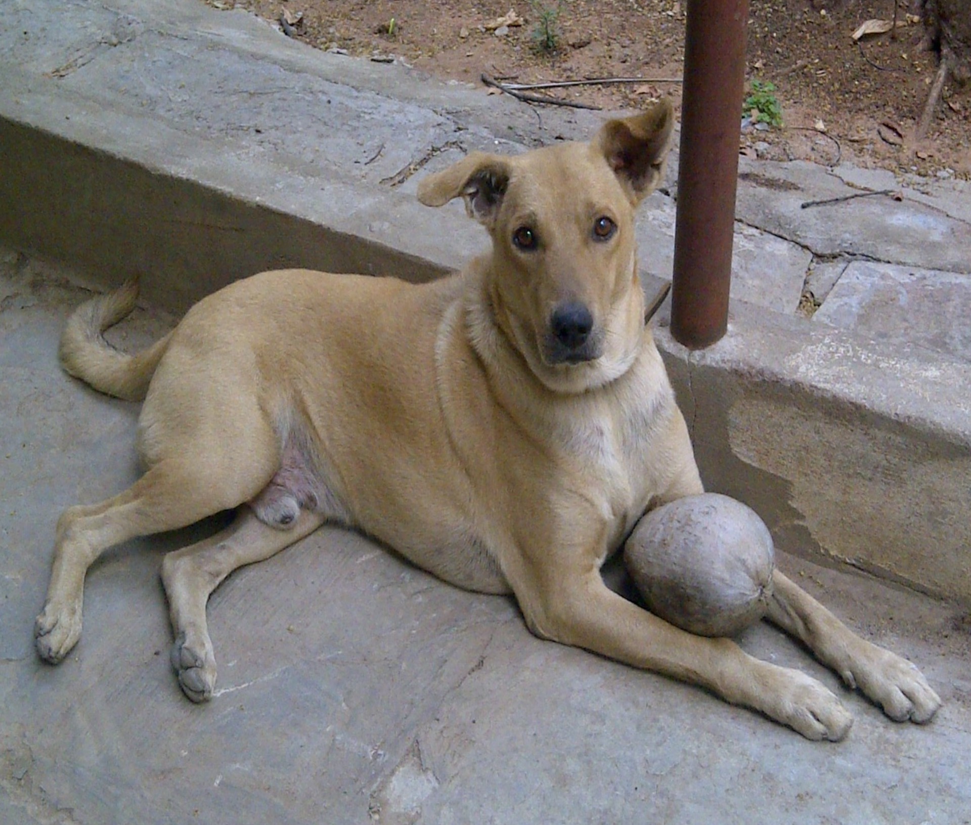 won't you come out and play?